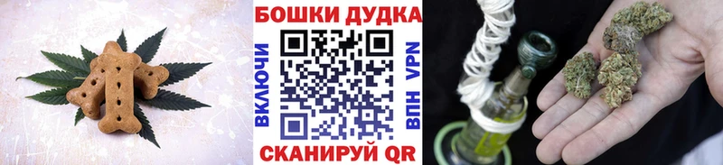 mega как зайти  Жердевка  Печенье с ТГК конопля  как найти наркотики 