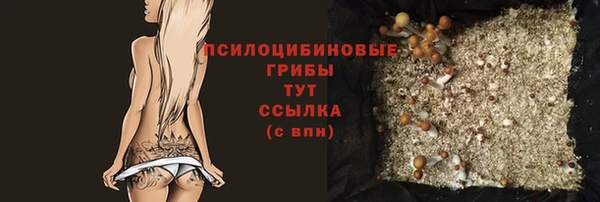 дурь Вяземский