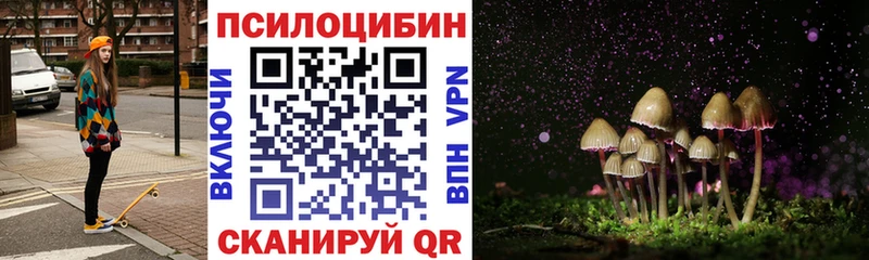 Псилоцибиновые грибы Psilocybine cubensis  Жердевка 